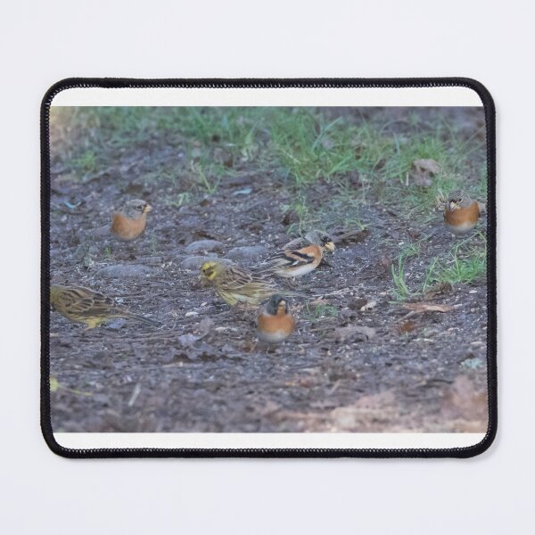 Item preview, Winter Flock designed and sold by LaurenTucker.