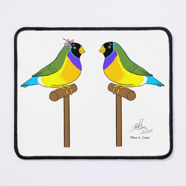 Item preview, Crazy Bird man with Gouldian finches designed and sold by Laughing Parrot Studio.