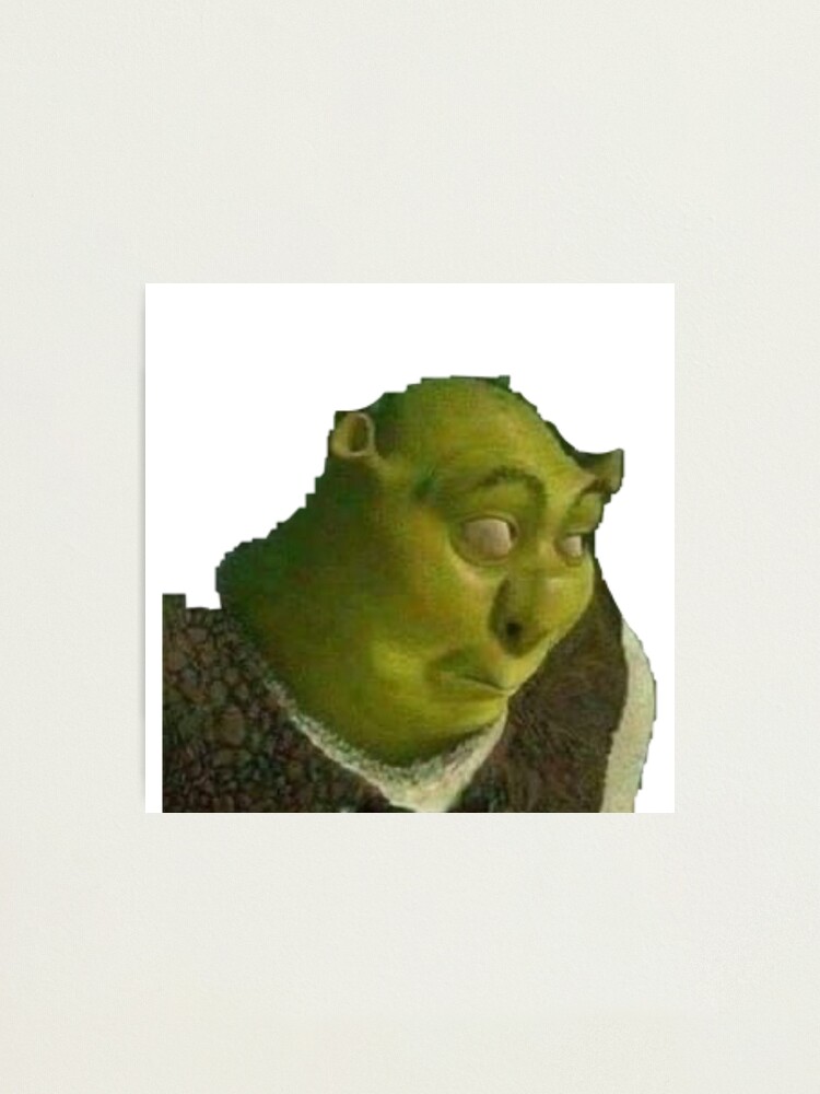 Shrek meme | Photographic Print