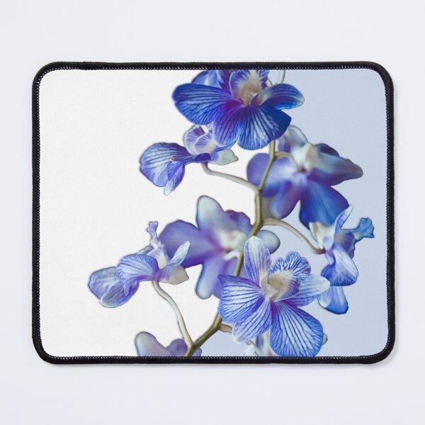 Item preview, Blue Orchid designed and sold by BanksyNB.