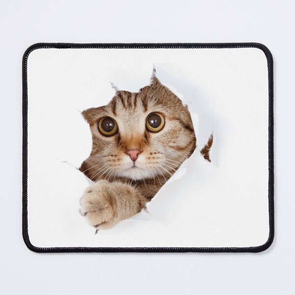 Item preview, Cute Cat designed and sold by Terry-Salsa.