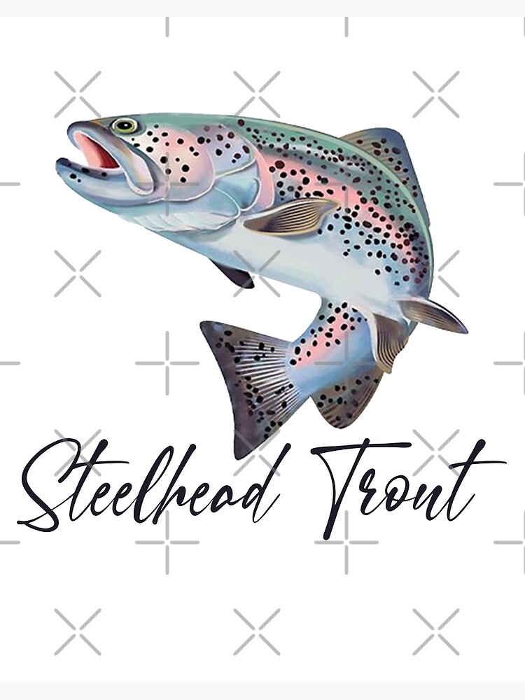 Steelhead Trout Fishing Art Board Print for Sale by TeeInnovations