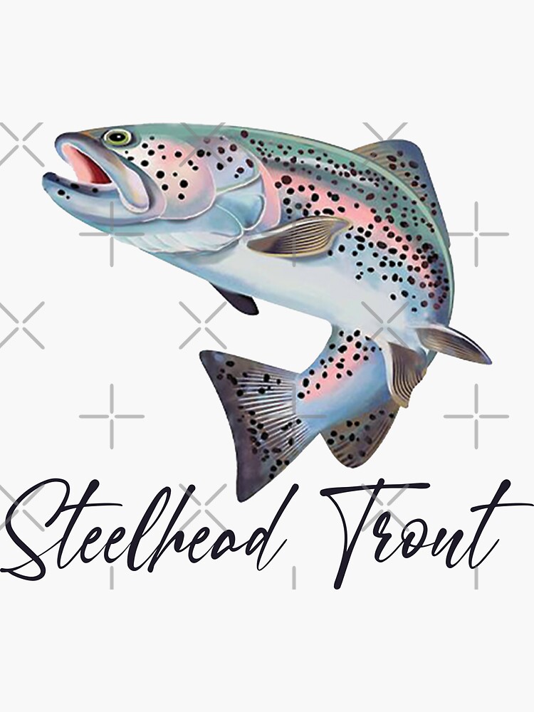 Funny Steelhead Trout Fishing Freshwater Fish Cap