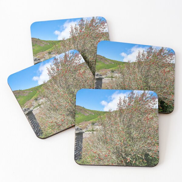 Item preview, Rowan Tree and Caban Coch Dam designed and sold by VnGphoto.