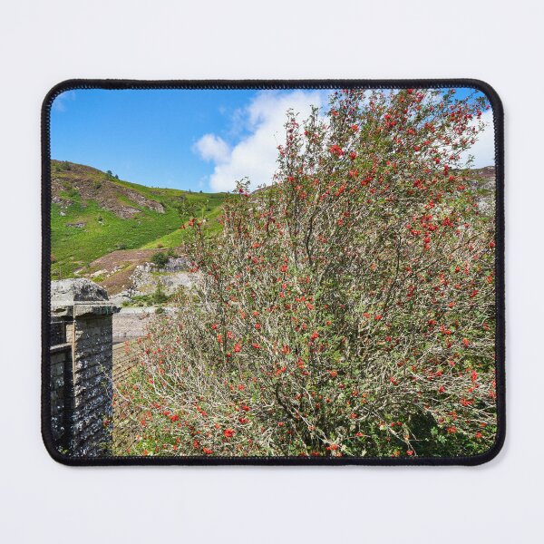 Item preview, Rowan Tree and Caban Coch Dam designed and sold by VnGphoto.