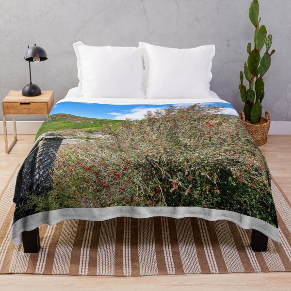 Item preview, Rowan Tree and Caban Coch Dam designed and sold by VnGphoto.