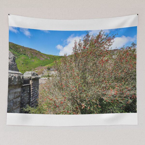 Item preview, Rowan Tree and Caban Coch Dam designed and sold by VnGphoto.