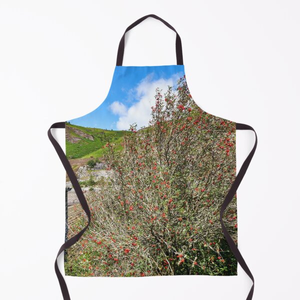 Item preview, Rowan Tree and Caban Coch Dam designed and sold by VnGphoto.