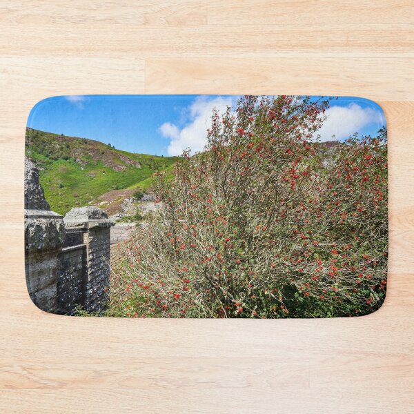 Item preview, Rowan Tree and Caban Coch Dam designed and sold by VnGphoto.