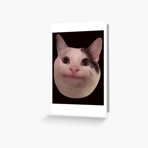 Polite cat meme, funny cat meme Sticker for Sale by ElevenGraphics