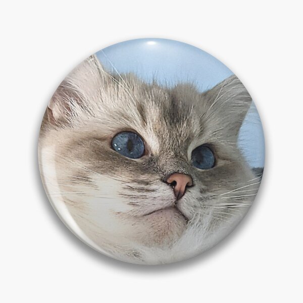 Item preview, Saoirse the ragdoll cat designed and sold by Fluffycat2020.