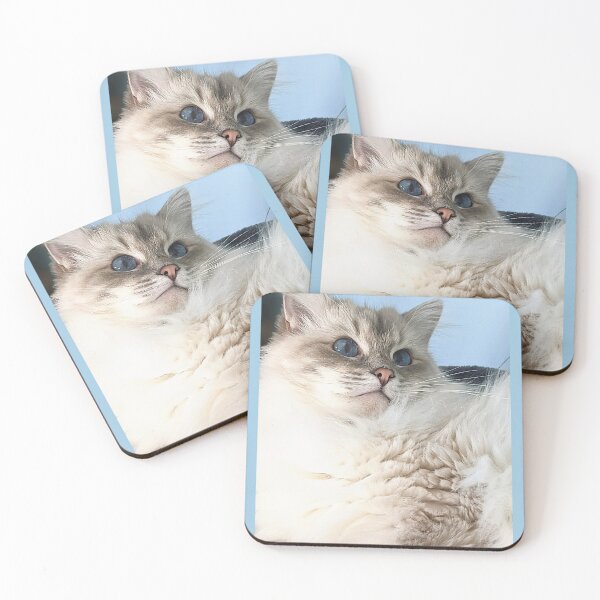 Item preview, Saoirse the ragdoll cat designed and sold by Fluffycat2020.