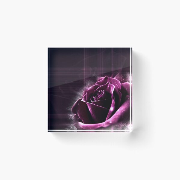 Aperçu de l'œuvre Rose! créée et vendue par Neverlandgr.