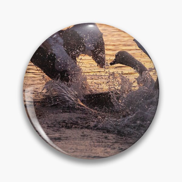 Item preview, Pecking Order designed and sold by spcphotography.