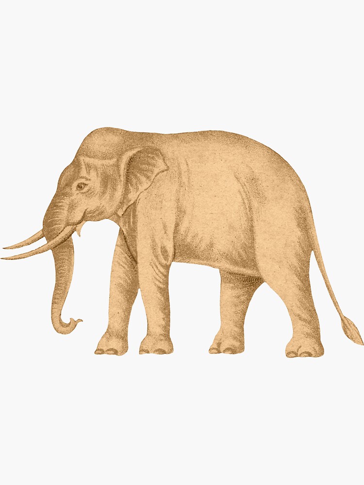 "A White Elephant on the Red Field. The Siam / Thailand White