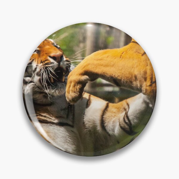 Item preview, Sibling Rivalry designed and sold by spcphotography.