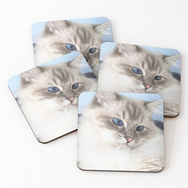 Item preview, Saoirse the ragdoll cat designed and sold by Fluffycat2020.