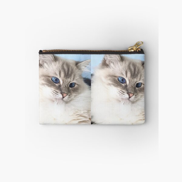 Item preview, Saoirse the ragdoll cat designed and sold by Fluffycat2020.