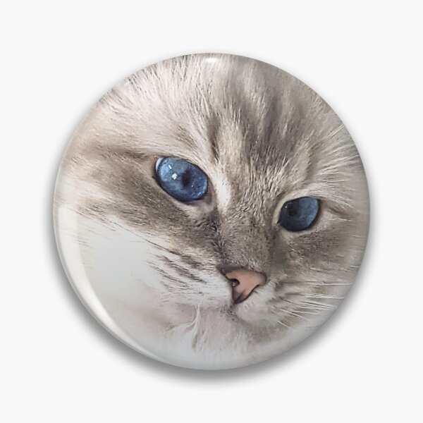 Item preview, Saoirse the ragdoll cat designed and sold by Fluffycat2020.