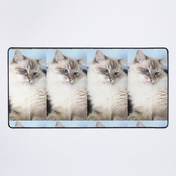 Item preview, Saoirse the ragdoll cat designed and sold by Fluffycat2020.