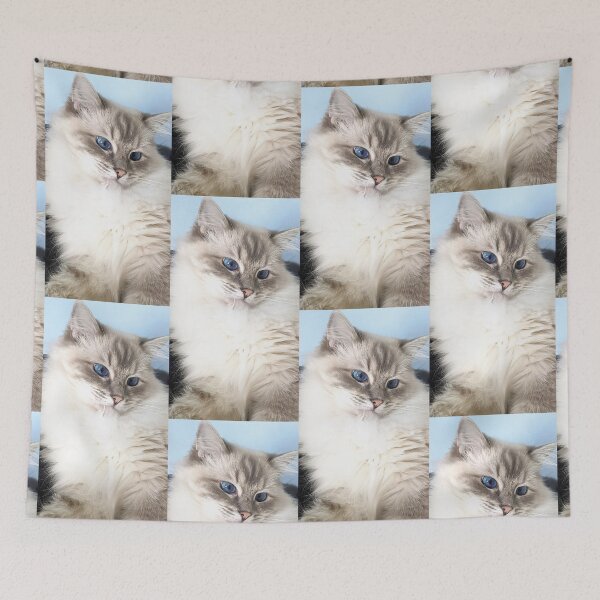 Item preview, Saoirse the ragdoll cat designed and sold by Fluffycat2020.