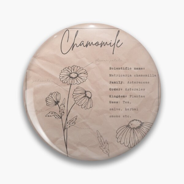 Item preview,  The Herbalists Chamomile Poster designed and sold by IndagoAdihs.
