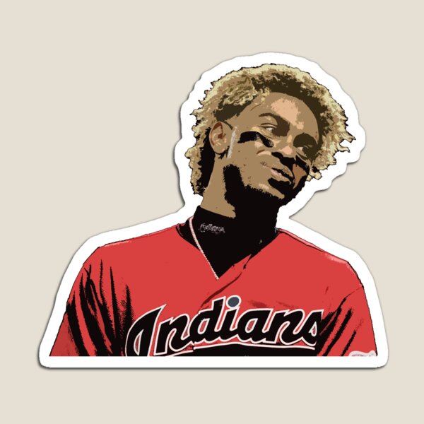 Francisco Lindor Jersey Number- Sticker(Orange) Sticker for Sale by  adamduren20