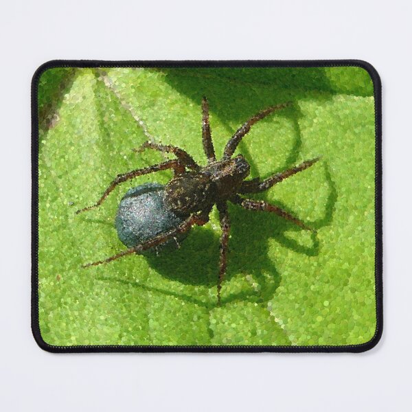 Item preview, Spider Chilling on Leaves designed and sold by MathenaArt.