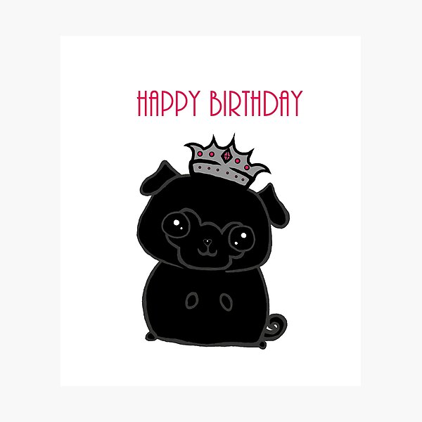Birthday Pug Photographic Print