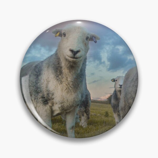 Item preview, cute smiley herdwick sheep designed and sold by ETstickerz.