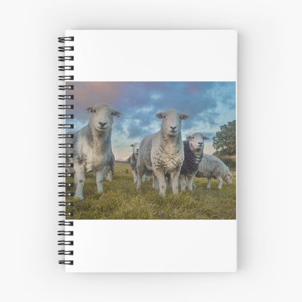 Item preview, cute smiley herdwick sheep designed and sold by ETstickerz.