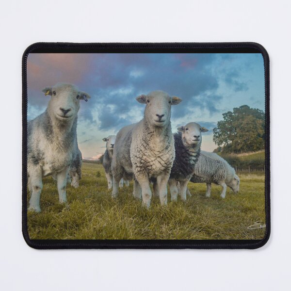 Item preview, cute smiley herdwick sheep designed and sold by ETstickerz.
