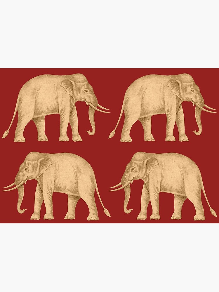 "A White Elephant on the Red Field Pattern. The Siam / Thailand