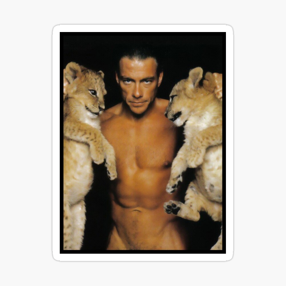 Jean Claude Van Damme Cats