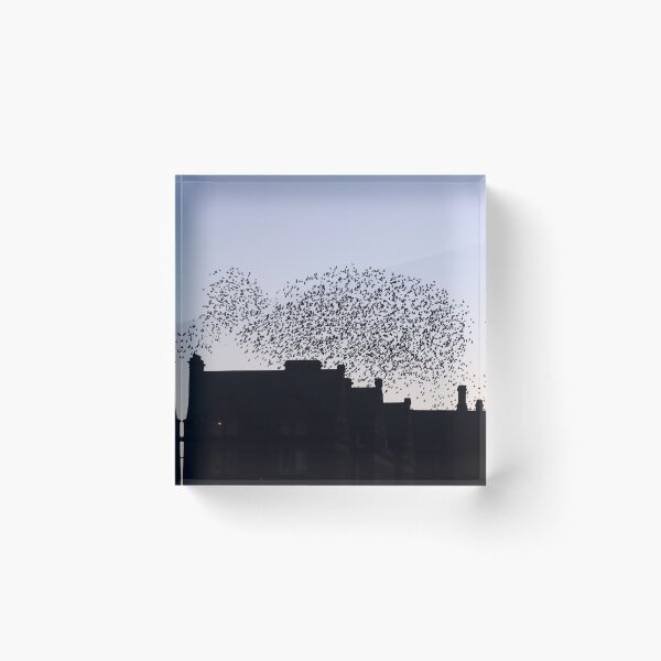 Item preview, Whale shaped murmuration designed and sold by GreyFeatherPhot.