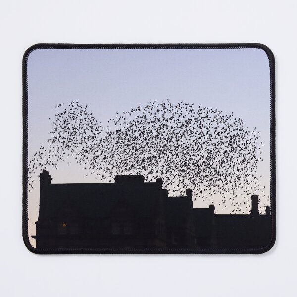 Item preview, Whale shaped murmuration designed and sold by GreyFeatherPhot.