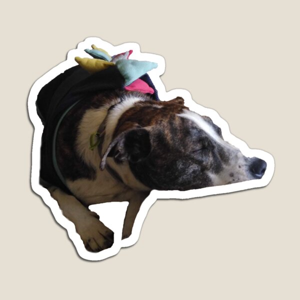 Item preview, dino dog rests chin designed and sold by Gemma Leslie.