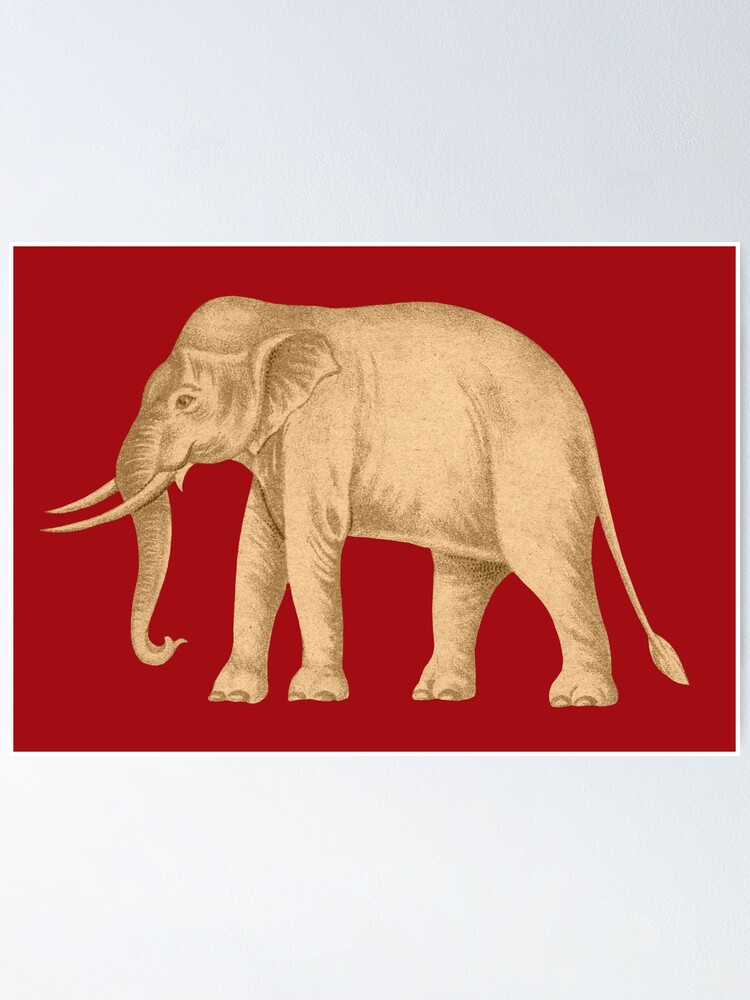 "A White Elephant on the Red Field. The Historic Siam King Rama III