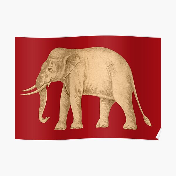 "A White Elephant on the Red Field. The Historic Siam King Rama III