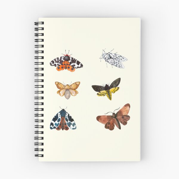 Item preview, Colorful Moths Watercolor Butterfly Pack designed and sold by DaisyPaints.