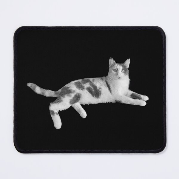 Item preview, Home Black And White Sleeping Cute Funny Cat designed and sold by Ankerd.
