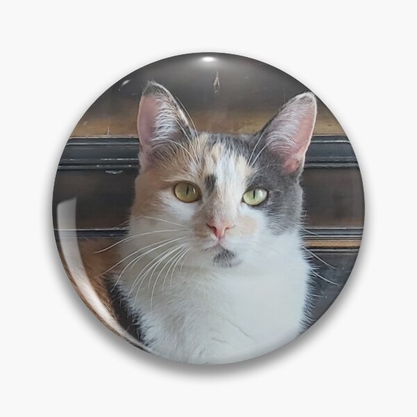 Item preview, Cute Lovely Funny Pet Cat Photo Relax designed and sold by Ankerd.