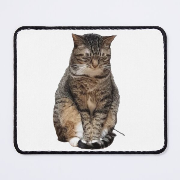 Item preview, sad cat designed and sold by dimpashkov.