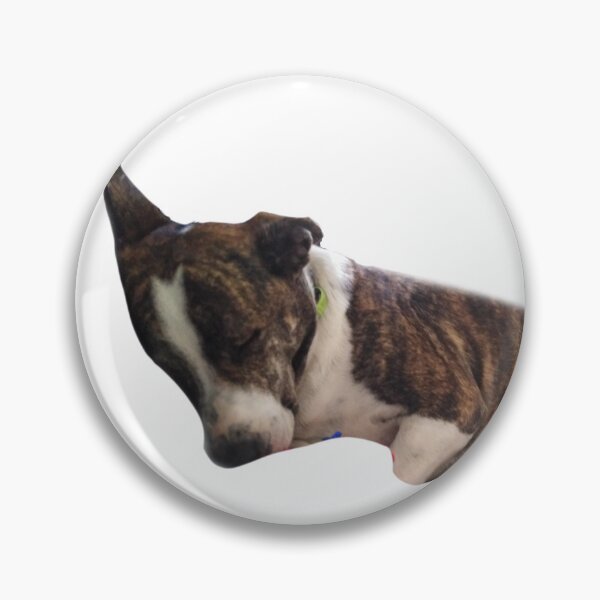 Item preview, Sleepy dog designed and sold by Gemma Leslie.