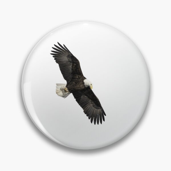 Item preview, Isolated Bald Eagle 2019-14 designed and sold by Thomasyoung.