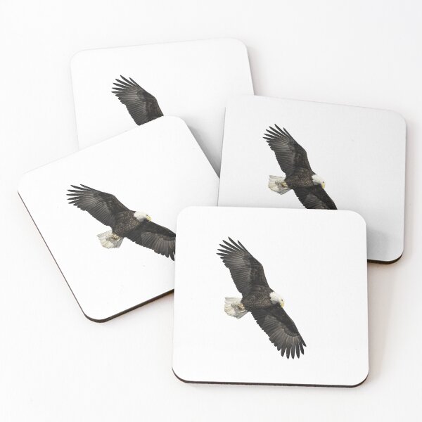 Item preview, Isolated Bald Eagle 2019-14 designed and sold by Thomasyoung.