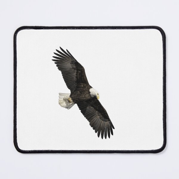 Item preview, Isolated Bald Eagle 2019-14 designed and sold by Thomasyoung.