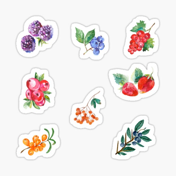 Artikel-Vorschau von Vintager Aquarellgarten und wilde Beeren, designt und verkauft von silviaol.
