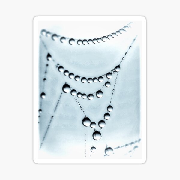 Aperçu de l'œuvre Dewy Spider Web 3 - Tonifié créée et vendue par Dorset Girl.