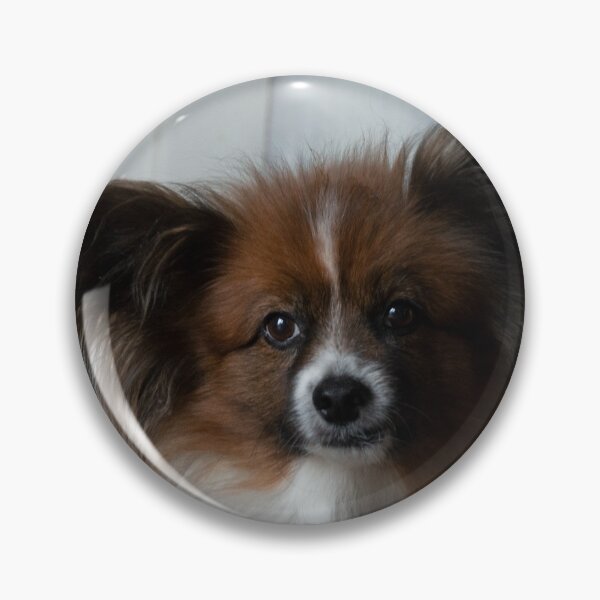 Item preview, Papillon designed and sold by JadeRiverImages.